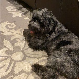 Meet your Posher, Candice